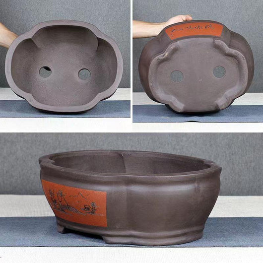 Maceta Rectangular de Cerámica Púrpura para Bonsái y Plantas de Interior - Image 2