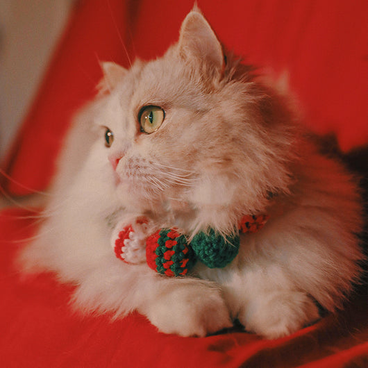 Babero Navideño Limitado para Mascotas - Image 2