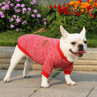 Suéter Abrigado para Perros - Ropa de Invierno Otoño Dos Patas - Image 17