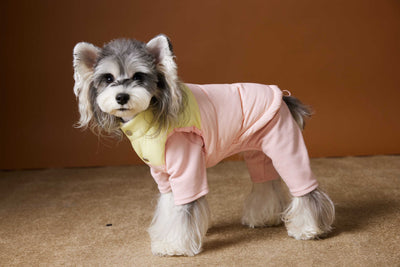 Chaleco Acolchado de Invierno para Perros Pequeños - Teddy, Schnauzer, Bichón - Image 24
