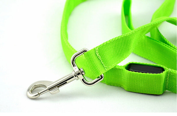 Correa LED Luminosa para Perros - Paseos Seguros de Noche