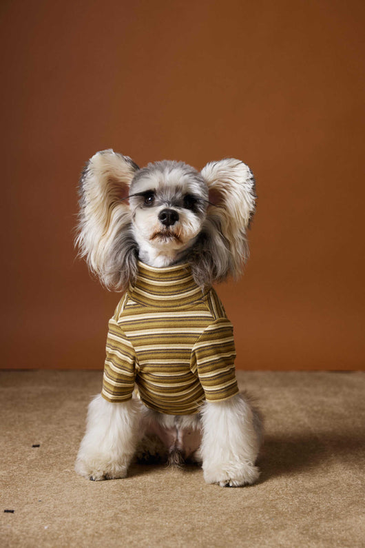 Camiseta Interior Ajustada para Perros Maltés y Schnauzer - Tejido Hipoalergénico - Image 10