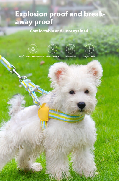 Arnés de Pecho con Correa para Pasear Perros - Control Seguro y Cómodo - Image 17