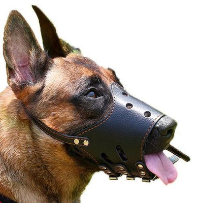 Bozal Protector Anti-Mordidas y Ladridos para Perros Medianos y Grandes - Image 3