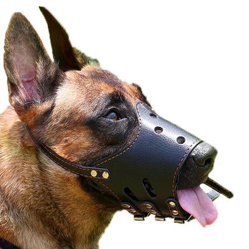 Bozal Protector Anti-Mordidas y Ladridos para Perros Medianos y Grandes - Image 3