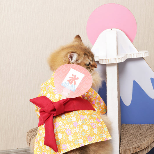 Yukata Japonés para Mascotas - Kimono Estilo Hanfu - Image 13