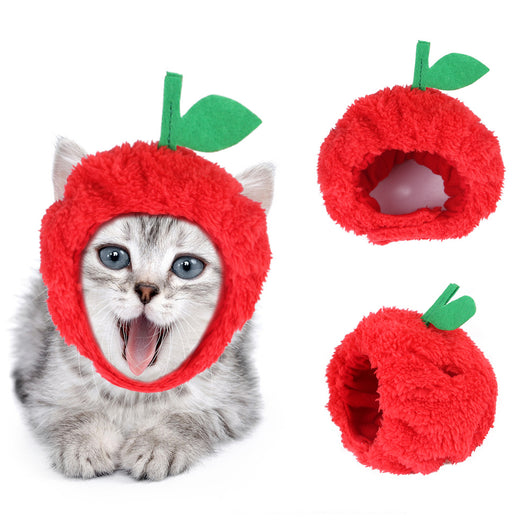 Gorro Rizado Divertido para Mascotas - Disfraz Cómico para Gatos y Perros - Image 7