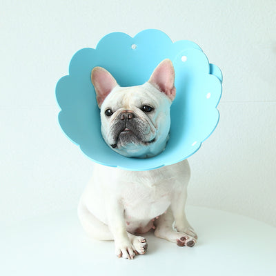 Collar Protector Antilamido con Cubierta Girasol para Mascotas - Image 9