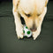 Pelota Elástica de Látex para Perros - Juguete Resistente y Duradero