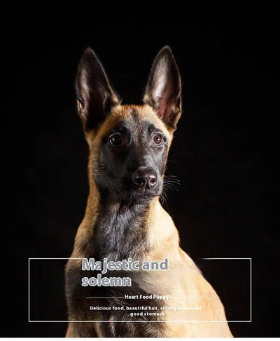 Alimento Militar para Perros de Entrenamiento - Fortalecedor Óseo y Muscular - Image 7