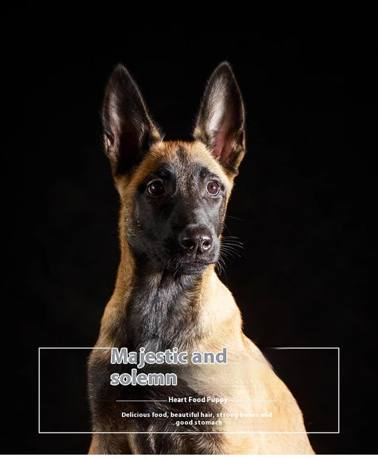 Alimento Militar para Perros de Entrenamiento - Fortalecedor Óseo y Muscular - Image 7