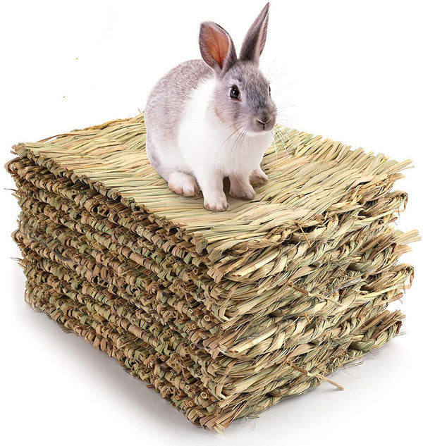 Pack 3 Camas Colchonetas para Conejos, Conejillos de Indias y Mascotas Pequeñas - Duraderas y Cómodas