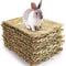 Pack 3 Camas Colchonetas para Conejos, Conejillos de Indias y Mascotas Pequeñas - Duraderas y Cómodas