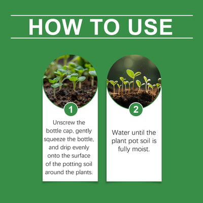 Solución Nutritiva Hidropónica Dual A&B para Flores y Plantas sin Suelo - Image 13