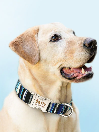 Cuerda Interactiva para Perros Grandes Golden Retriever - Image 10