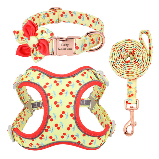 Correa y Collar para Perros Pequeños - Diseño Teddy Corgi - Image 2