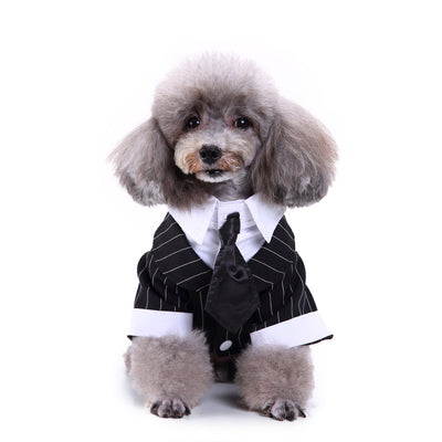 Traje Deportivo para Perros - Image 20