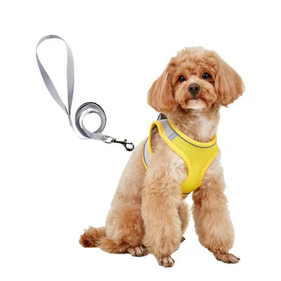 Small light brown poodle wearing an orange mesh dog vest harness with reflective trim and a retractable leash. - Image 4