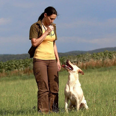 Silbato Ultrasónico para Adiestramiento de Perros con Cobre Ajustable - Image 23