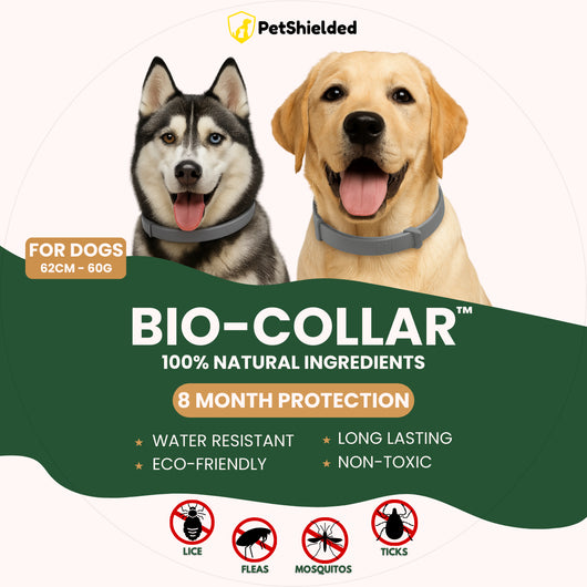 Collar Antiparasitario Ajustable para Perros y Gatos - Image 4