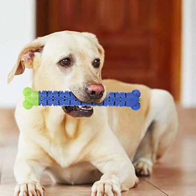 Limpiador Dental Masticable para Perros - Juguete Cepillo de Dientes Azul y Verde - Image 4