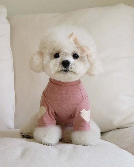 Suéter Bordado para Perro - Abrigo Otoño e Invierno - Image 6