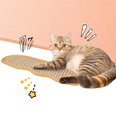 Almohada de Catnip con Limpiador de Dientes y Masajeador de Garras - Image 12