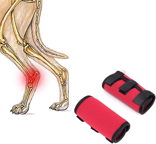 Protectores de Neopreno para Rodillas de Perros - Image 10