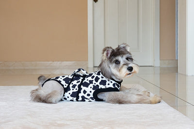 Ropa Quirúrgica Protectora para Mascotas - Anti-lamido Universal - Image 12