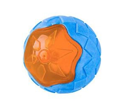 Juguetes Flotantes para Perros con Sonido - Toys Interactivos para Playa y Piscina - Image 10