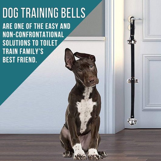 Timbre Adiestramiento Perros Premium - Campana Grande Ajustable para Entrenamiento de Cachorros - Image 4
