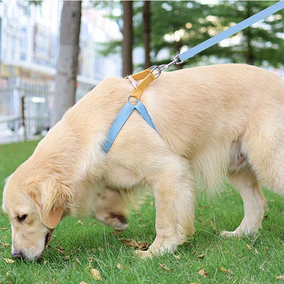 Arnés Multicolor para Perros Anti-Escape con Correa Incluida - Image 12