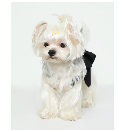 Blusa Tanque Beige con Moño de Seda Negra para Mascotas - Image 22