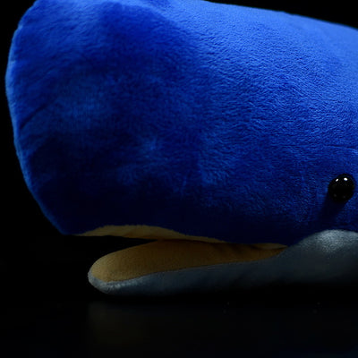 Peluche Ballena Cachalote Adorable - Image 10