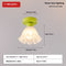 Light Green Ceiling Lamp 6607 12 W