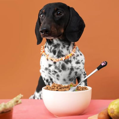 Set de 2 Cucharas para Alimento de Mascotas - Acero Inoxidable con Diseño de Garra - Image 3