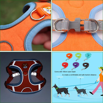 Arnés y Correa para Perro Pequeño - Set Ajustable con Reflectantes - Image 5