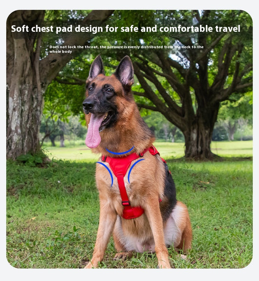 Orange dog harness with reflective trim, black buckles, and a top handle, designed for large dogs. - Image 19