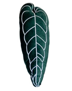 Almohada Lumbar Monstera Blanca - Cojín Decorativo para Sofá y Cama - Image 14