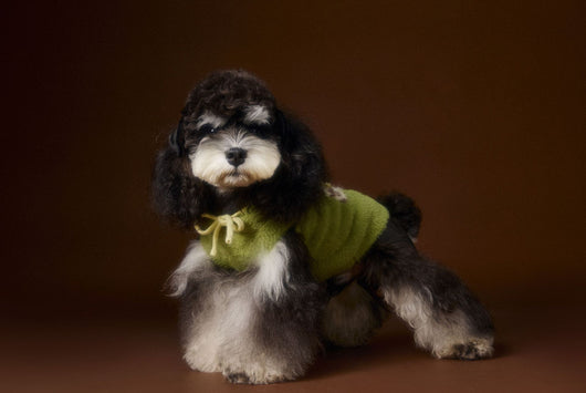 Chaleco Sudadera con Capucha y Estampado de Perrito - Image 20