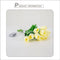 Yellow Tulip 10 Flowers 1 Bouquet