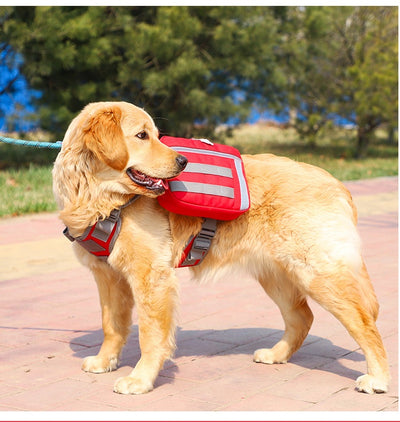Pack de Snacks para Perros Medianos y Grandes - Variedad Completa - Image 20