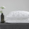 W 48 X 74 Cm