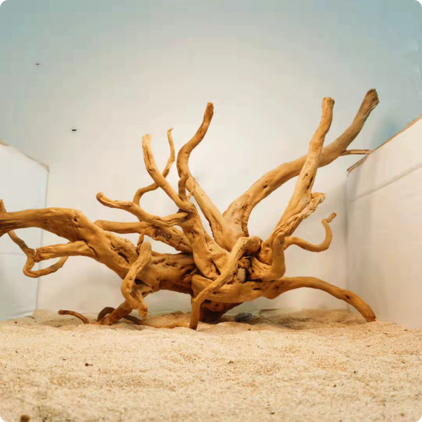Decoración de Raíces Naturales para Acuarios - Ornamento Xiaoqi