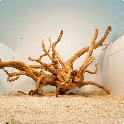 Decoración de Raíces Naturales para Acuarios - Ornamento Xiaoqi