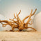 Decoración de Raíces Naturales para Acuarios - Ornamento Xiaoqi