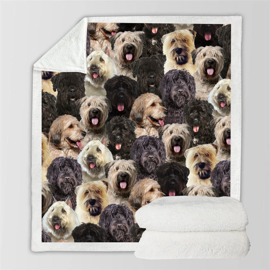 Manta Flanela Estampada para Perros de Moda