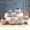 Suculentas Hermosas Para El Hogar 6 Cerámica