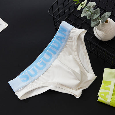 Calzoncillos de Algodón Purificado Ajuste Slim para Hombre - Image 10