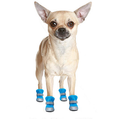 Zapatos Cómodos y Transpirables para Mascotas - Image 29